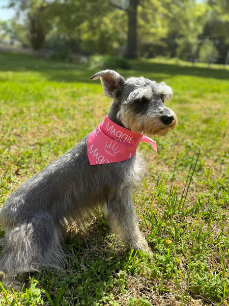 Personalized Pet Bandana