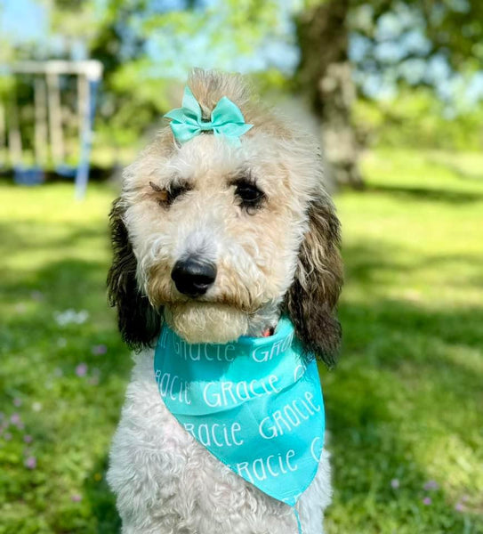 Personalized Pet Bandana