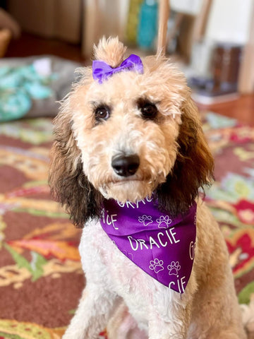 Personalized Pet Bandana